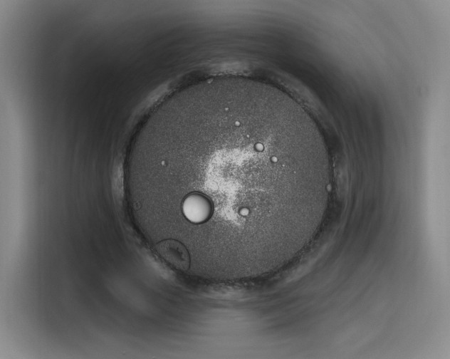 X0000116150729200911231331