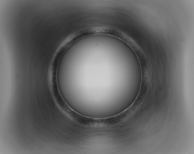 X0000116150730200911231331