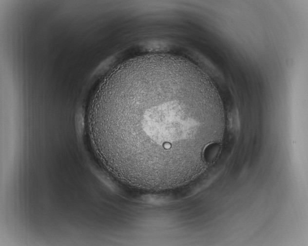 X0000116150733200911231331