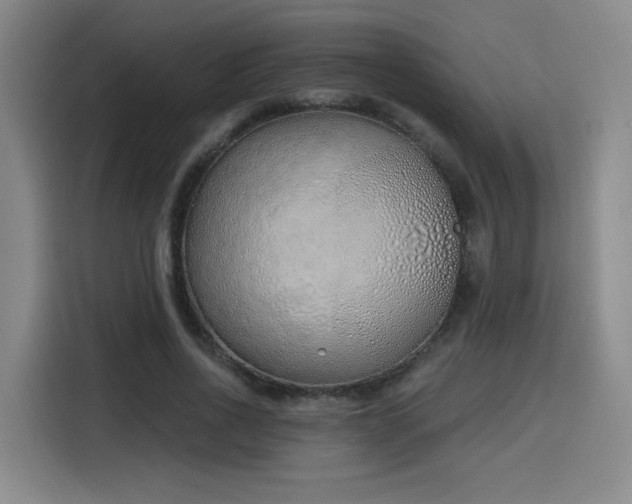 X0000116150734200911231331