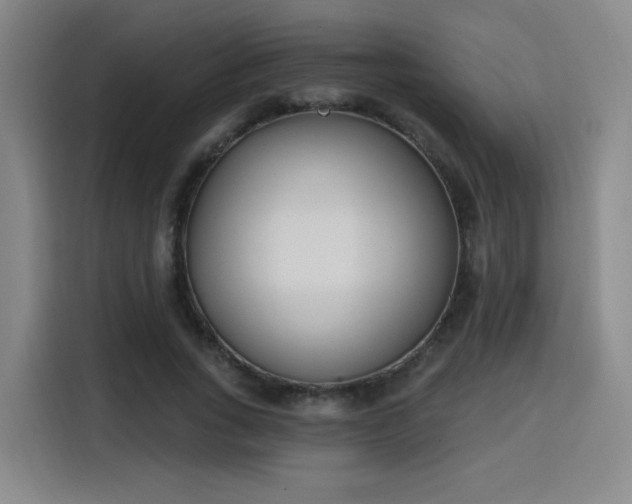 X0000116150735200911231331