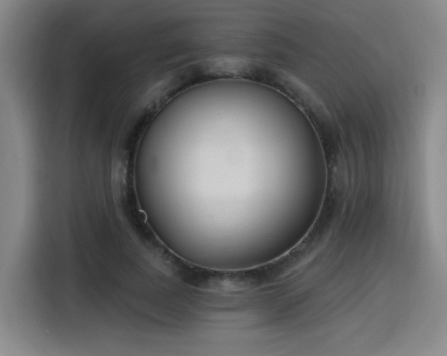 X0000116150739200911231331