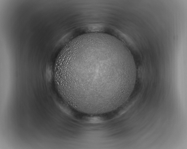 X0000116150741200911231331