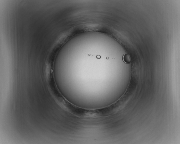 X0000116150742200911231331