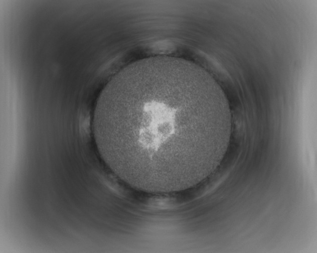 X0000116150745200911231331