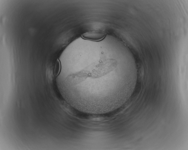 X0000116150746200911231331