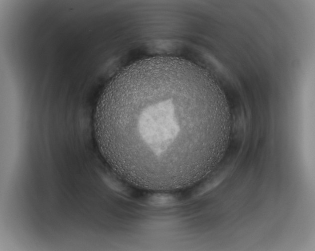 X0000116150749200911231331