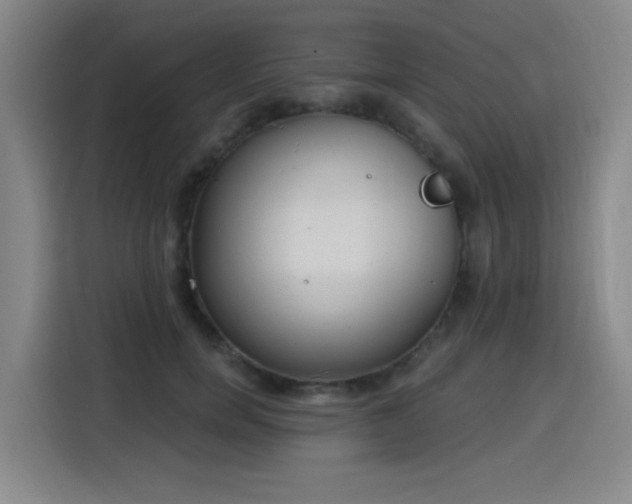 X0000116150750200911231331