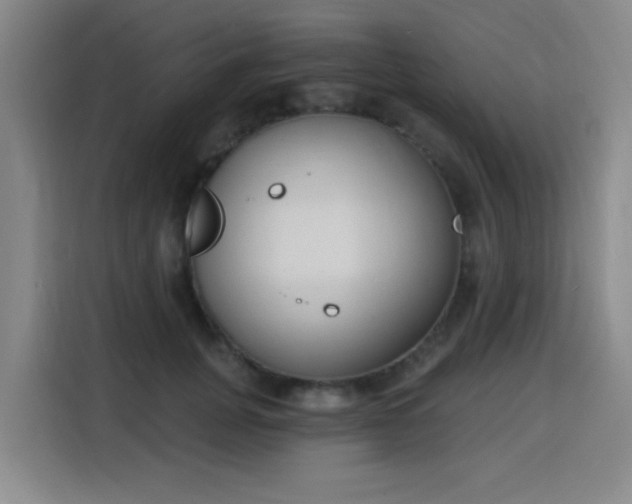 X0000116150751200911231331