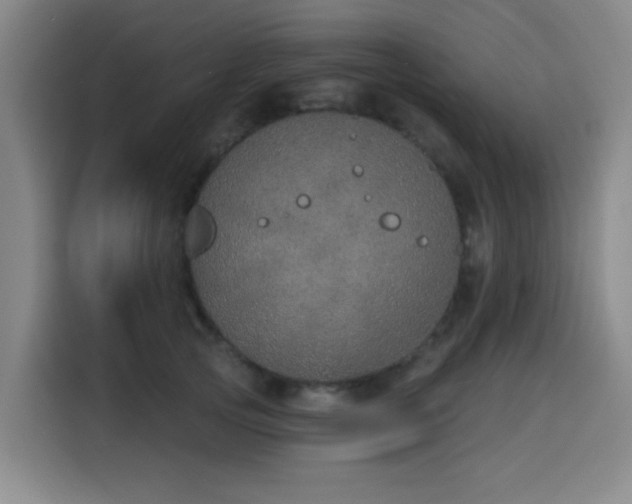 X0000116150753200911231331