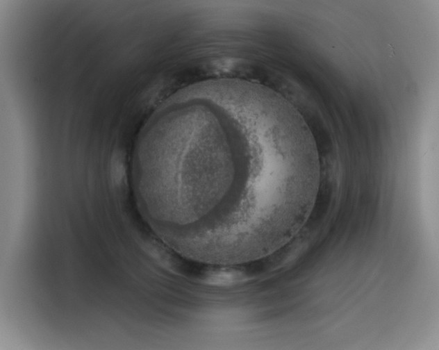 X0000116150754200911231331