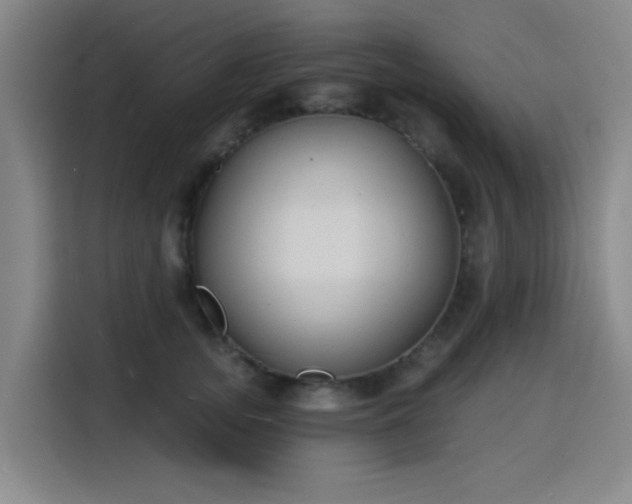 X0000116150755200911231331