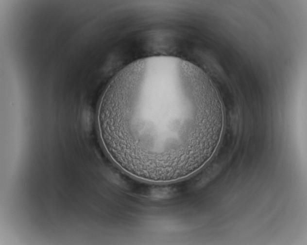 X0000116150757200911231331