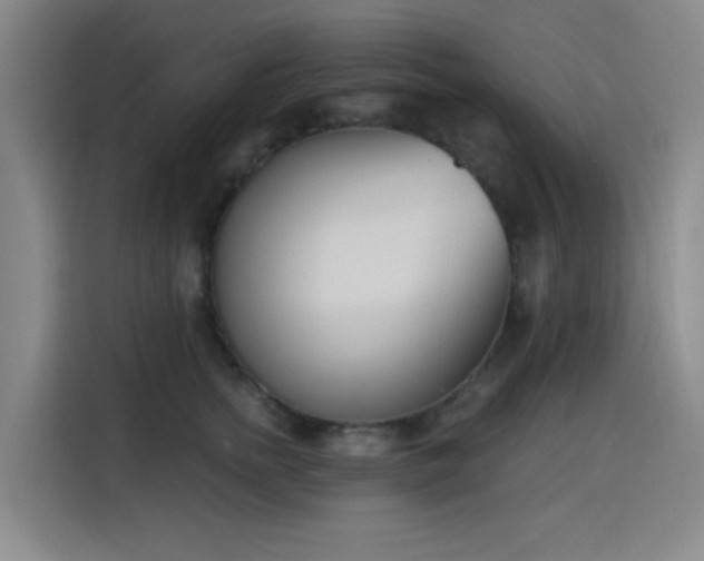 X0000116150758200911231331