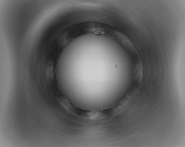 X0000116150762200911231331