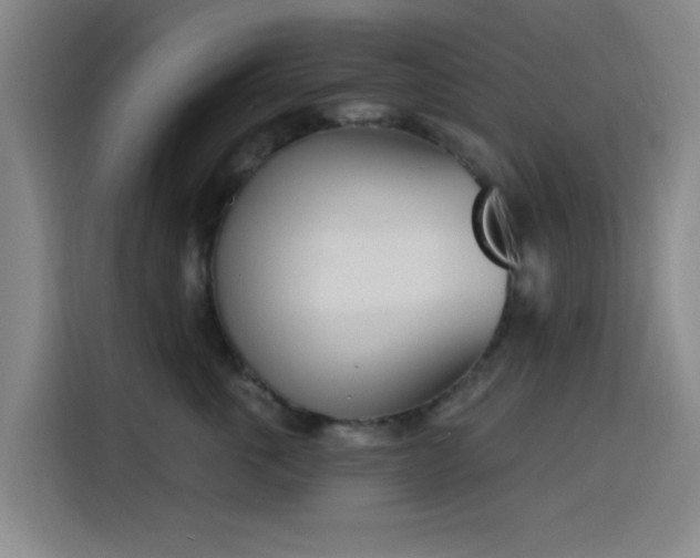 X0000116150763200911231331