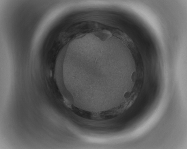 X0000116150766200911231331