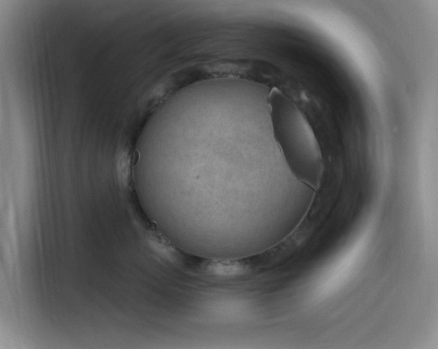 X0000116150767200911231331