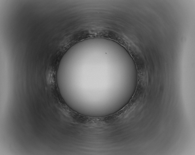 X0000116150770200911231331