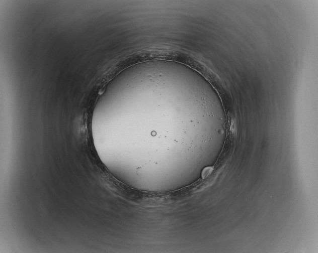 X0000116150771200911231331