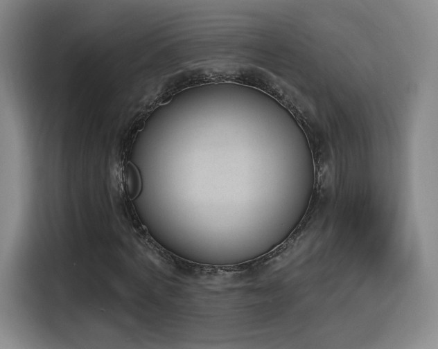 X0000116150772200911231331