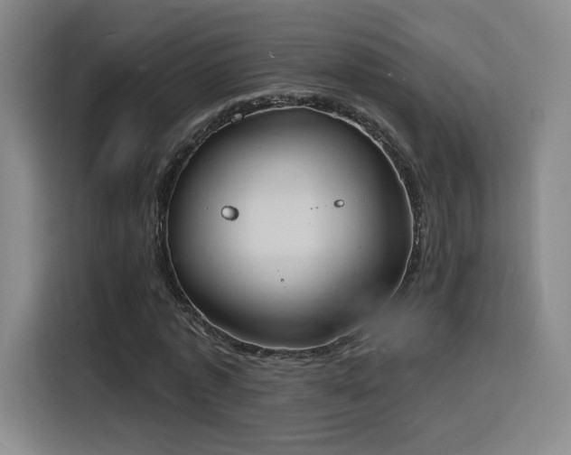 X0000116150773200911231330