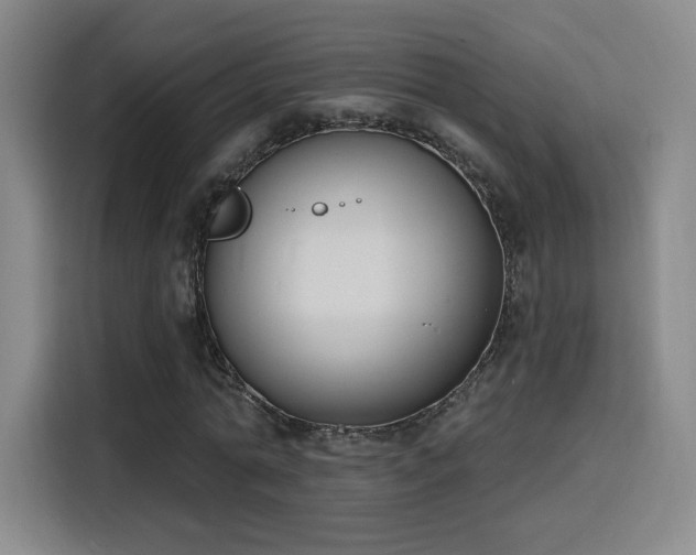 X0000116150774200911231330