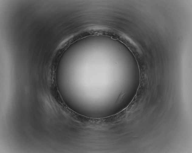 X0000116150775200911231330