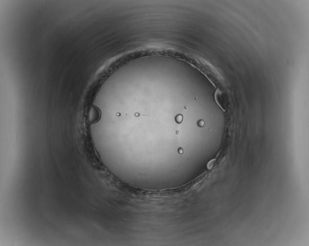 X0000116150776200911231330