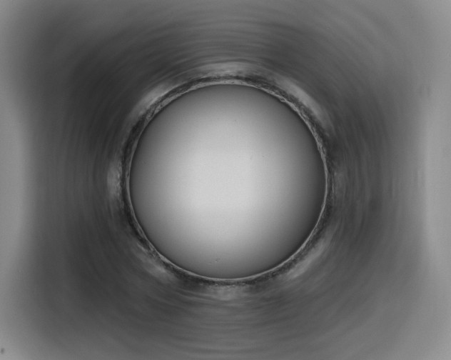 X0000116150778200911231330