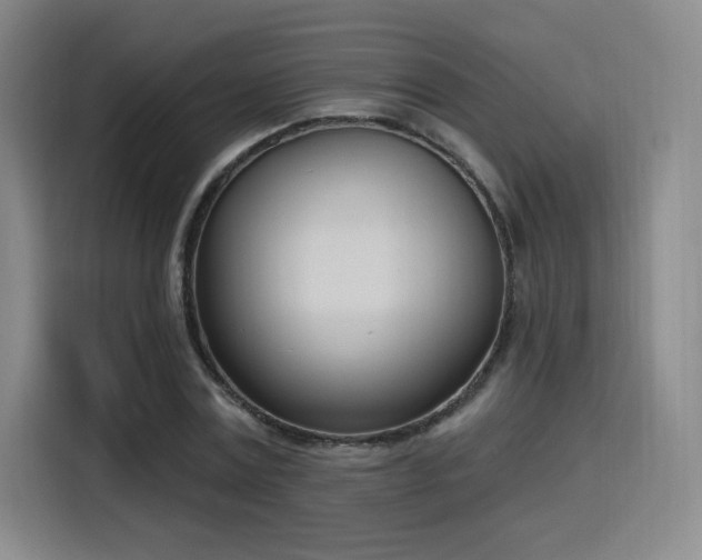 X0000116150779200911231330