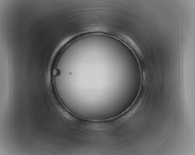 X0000116150780200911231330