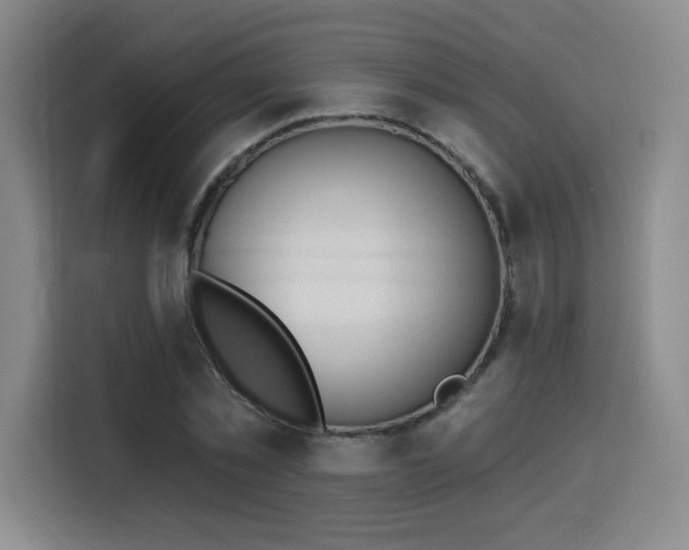 X0000116150781200911231330