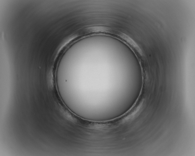 X0000116150782200911231330