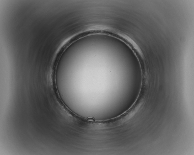 X0000116150783200911231330