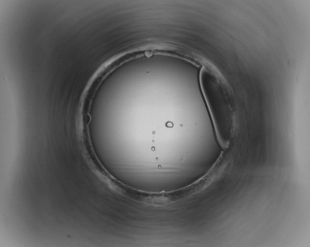 X0000116150784200911231330