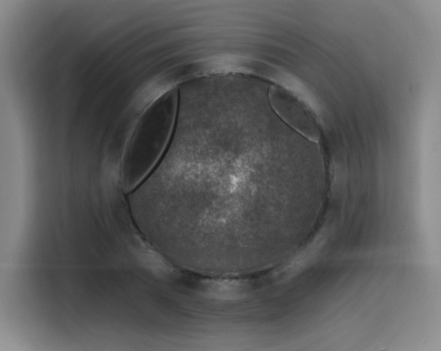 X0000116150785200911231330