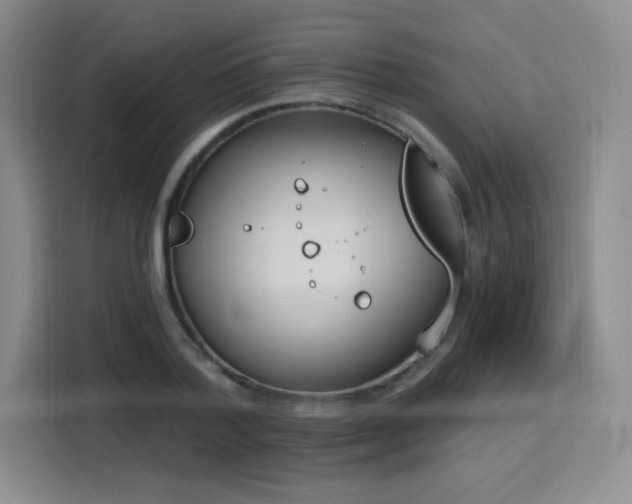 X0000116150788200911231330