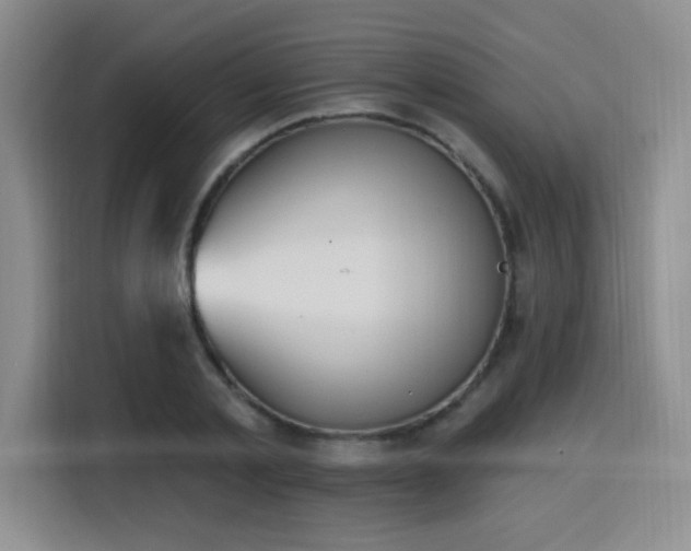 X0000116150789200911231330