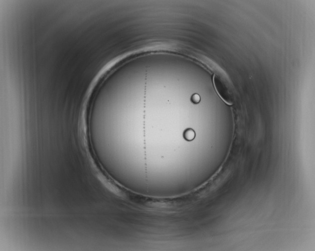 X0000116150792200911231330