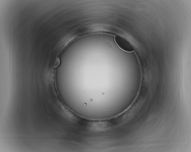 X0000116150793200911231330