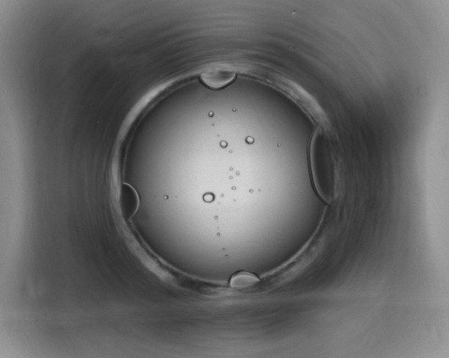 X0000116150796200911231330