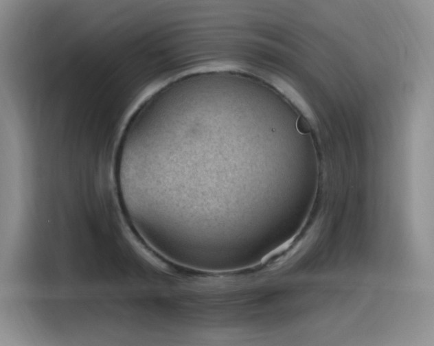 X0000116150797200911231330