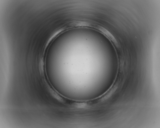 X0000116150798200911231330