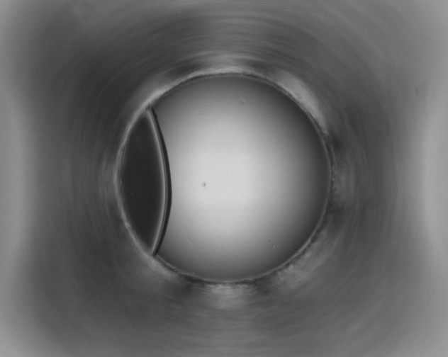 X0000116150805200911231330