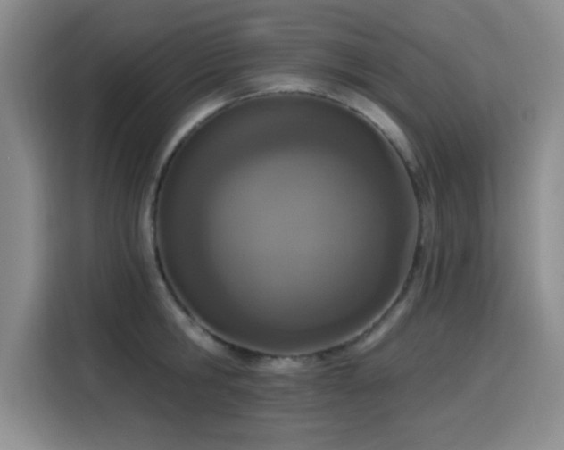 X0000116150806200911231330