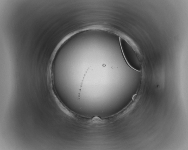 X0000116150808200911231330