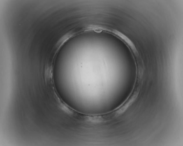 X0000116150809200911231330