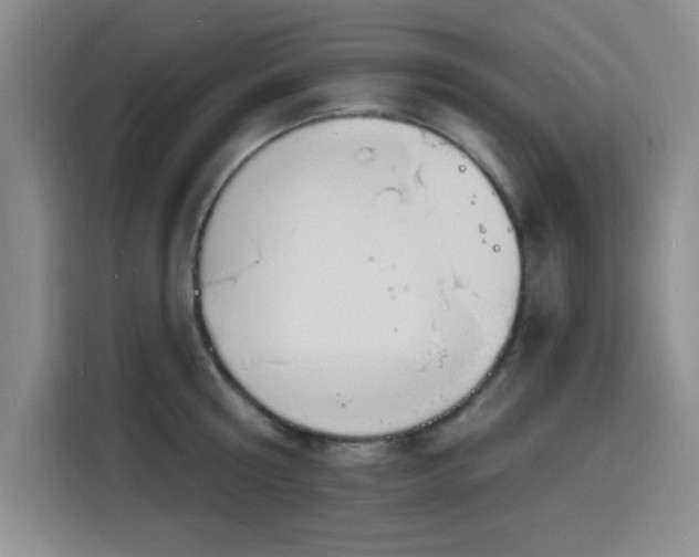 X0000116150810200911231330