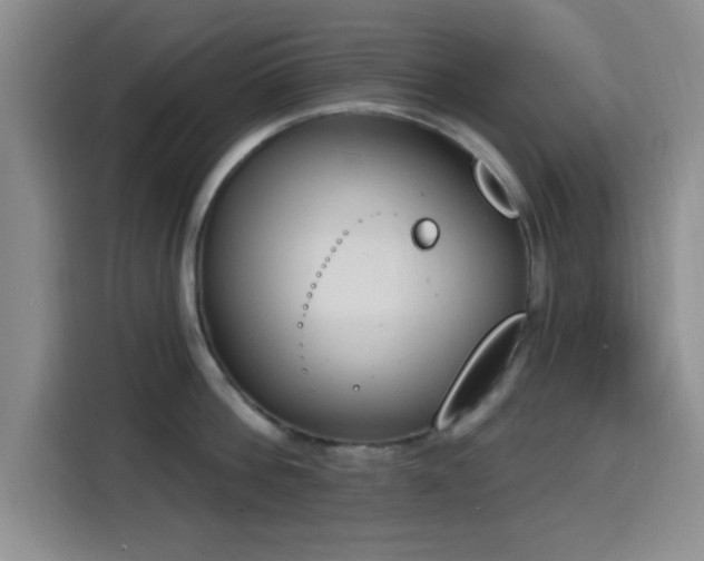 X0000116150812200911231330